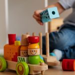 CDIAP Baix Camp i Priorat