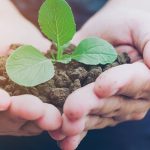 Cooperativa Eterrna Agroecologia